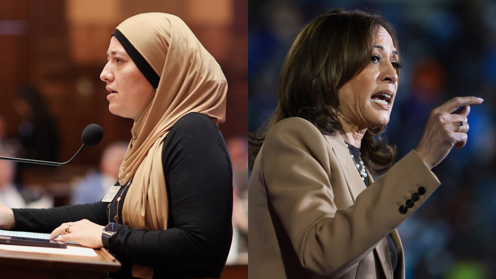 The DNC Tried to Silence Her. Here's Her Plan After Voting for Harris